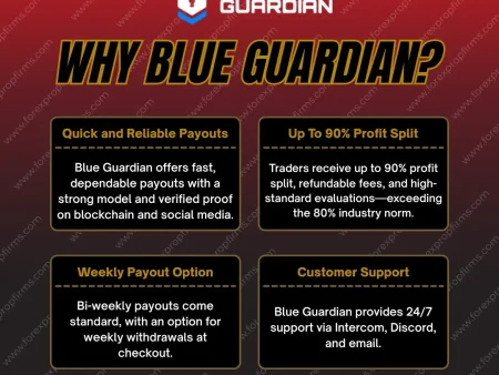 Why Many Traders Are Choosing Blue Guardian?